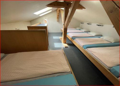 Youth Hostal *